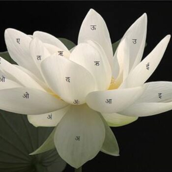 The Sixteen Amritarudras