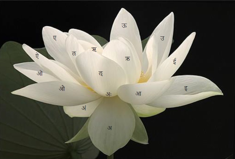 The Sixteen Amritarudras