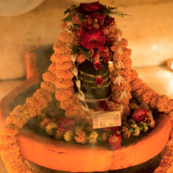 Shiva Sutras