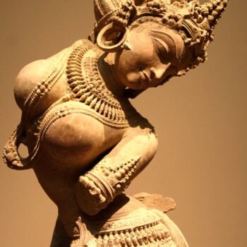 The World of the Yoginis