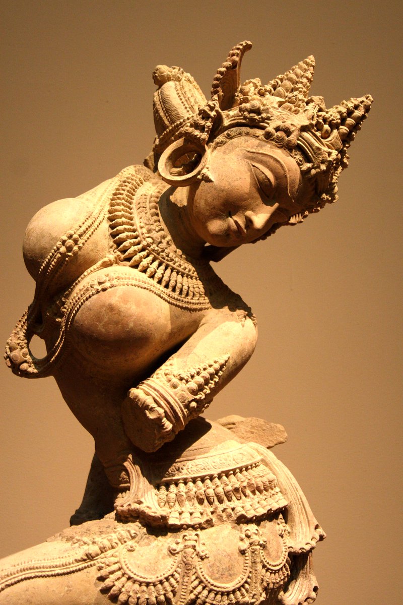 The World of the Yoginis